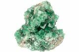 Fluorescent Green Fluorite Cluster - Diana Maria Mine, England #208878-2